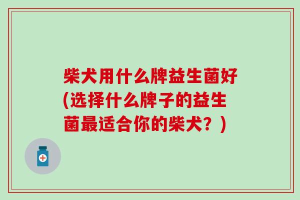 柴犬用什么牌益生菌好(选择什么牌子的益生菌最适合你的柴犬？)