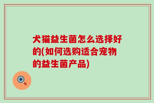 犬猫益生菌怎么选择好的(如何选购适合宠物的益生菌产品)