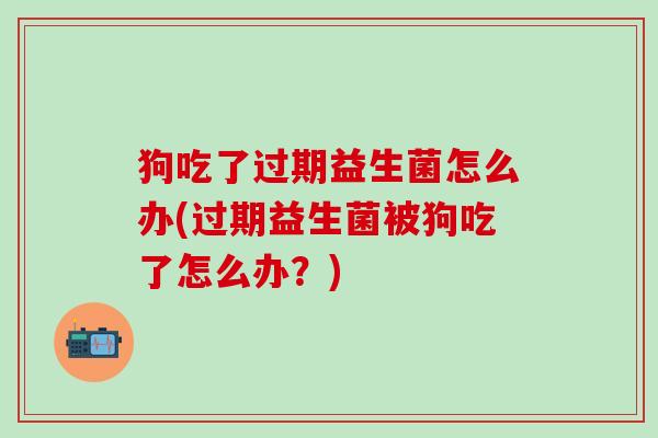 狗吃了过期益生菌怎么办(过期益生菌被狗吃了怎么办？)