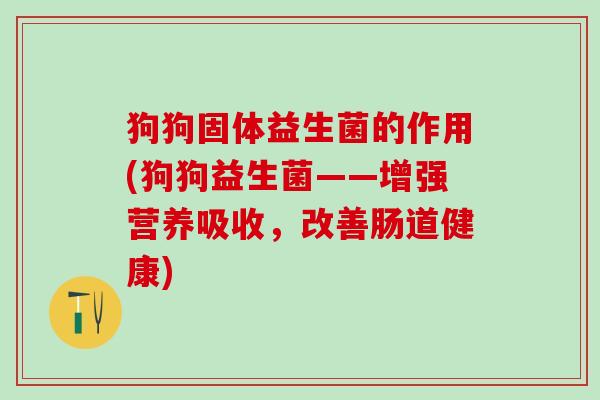 狗狗固体益生菌的作用(狗狗益生菌——增强营养吸收，改善肠道健康)