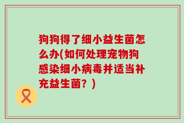 狗狗得了细小益生菌怎么办(如何处理宠物狗感染细小病毒并适当补充益生菌？)