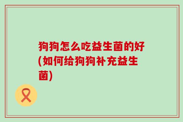 狗狗怎么吃益生菌的好(如何给狗狗补充益生菌) 狗狗怎么吃益生菌的好(如何给狗狗补充益生菌)