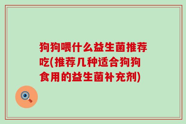 狗狗喂什么益生菌推荐吃(推荐几种适合狗狗食用的益生菌补充剂)
