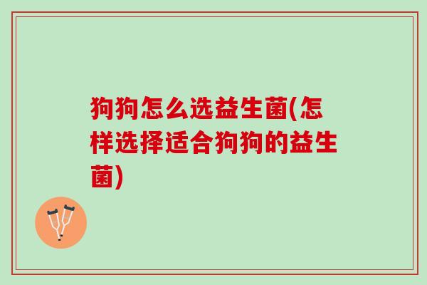 狗狗怎么选益生菌(怎样选择适合狗狗的益生菌)