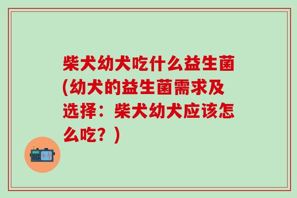 柴犬幼犬吃什么益生菌(幼犬的益生菌需求及选择：柴犬幼犬应该怎么吃？)