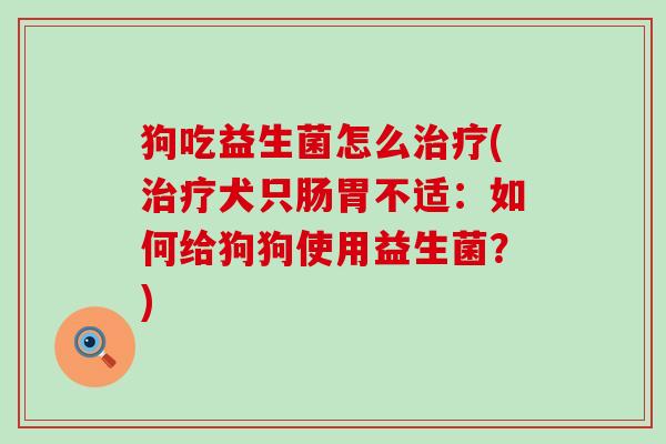 狗吃益生菌怎么治疗(治疗犬只肠胃不适：如何给狗狗使用益生菌？)