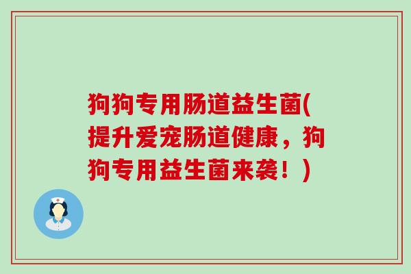 狗狗专用肠道益生菌(提升爱宠肠道健康，狗狗专用益生菌来袭！)