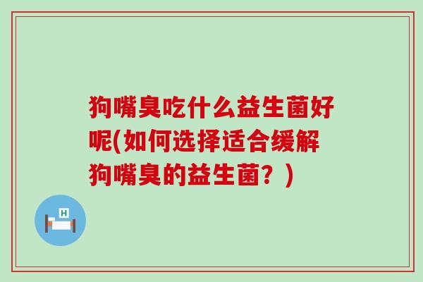 狗嘴臭吃什么益生菌好呢(如何选择适合缓解狗嘴臭的益生菌？)