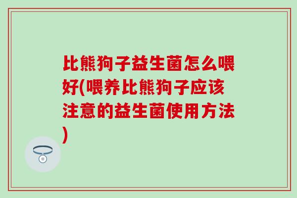 比熊狗子益生菌怎么喂好(喂养比熊狗子应该注意的益生菌使用方法)