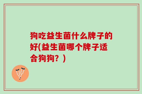 狗吃益生菌什么牌子的好(益生菌哪个牌子适合狗狗？)