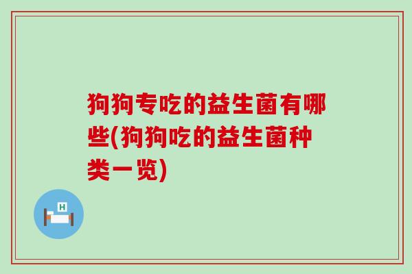 狗狗专吃的益生菌有哪些(狗狗吃的益生菌种类一览)