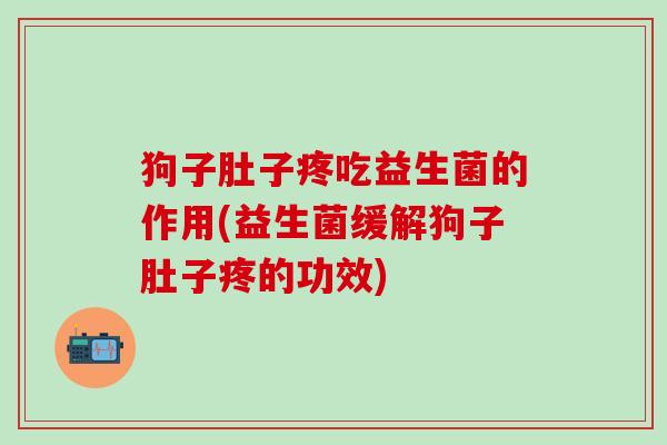 狗子肚子疼吃益生菌的作用(益生菌缓解狗子肚子疼的功效)