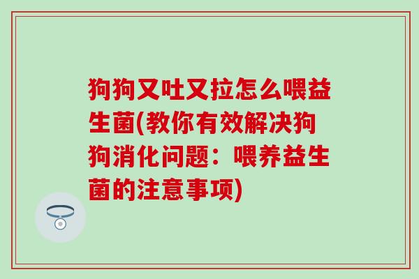狗狗又吐又拉怎么喂益生菌(教你有效解决狗狗消化问题：喂养益生菌的注意事项)