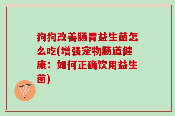 狗狗改善肠胃益生菌怎么吃(增强宠物肠道健康：如何正确饮用益生菌)