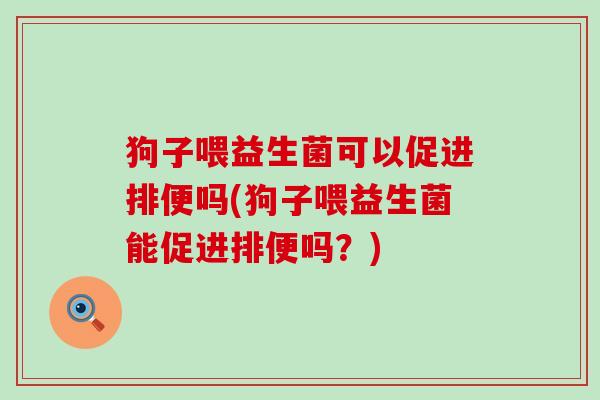 狗子喂益生菌可以促进排便吗(狗子喂益生菌能促进排便吗？)