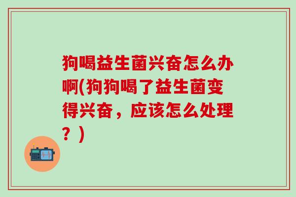 狗喝益生菌兴奋怎么办啊(狗狗喝了益生菌变得兴奋，应该怎么处理？)
