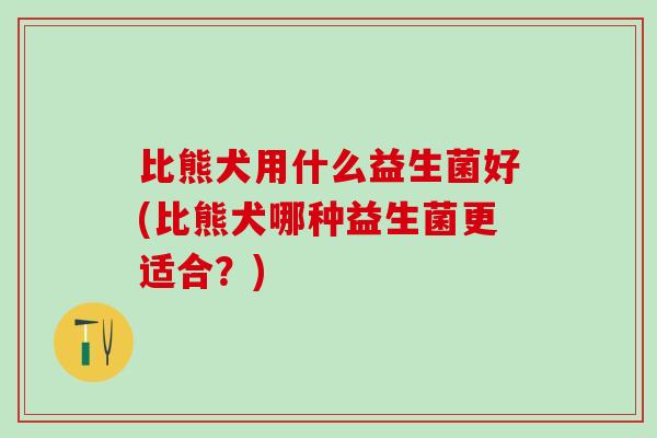 比熊犬用什么益生菌好(比熊犬哪种益生菌更适合？)