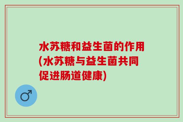 水苏糖和益生菌的作用(水苏糖与益生菌共同促进肠道健康)
