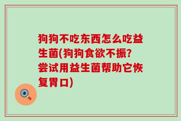 狗狗不吃东西怎么吃益生菌(狗狗食欲不振？尝试用益生菌帮助它恢复胃口)