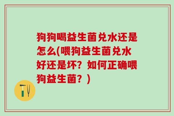 狗狗喝益生菌兑水还是怎么(喂狗益生菌兑水好还是坏？如何正确喂狗益生菌？)