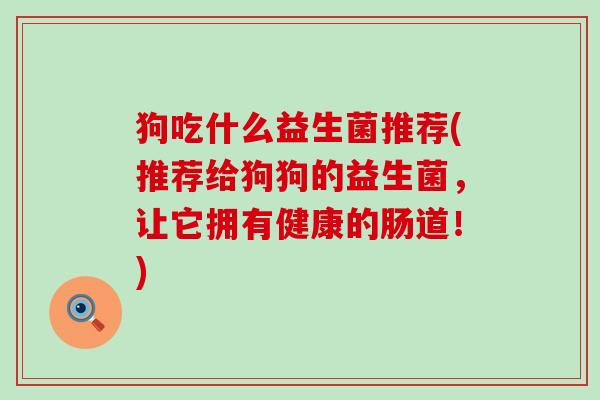 狗吃什么益生菌推荐(推荐给狗狗的益生菌，让它拥有健康的肠道！)
