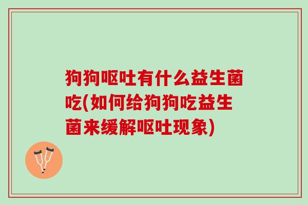 狗狗呕吐有什么益生菌吃(如何给狗狗吃益生菌来缓解呕吐现象)