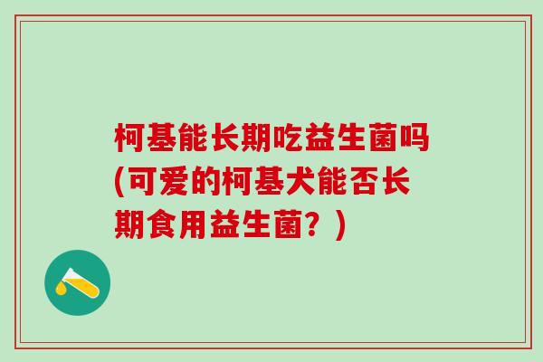 柯基能长期吃益生菌吗(可爱的柯基犬能否长期食用益生菌？)