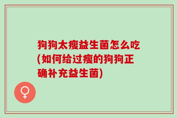 狗狗太瘦益生菌怎么吃(如何给过瘦的狗狗正确补充益生菌)