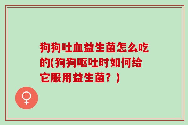 狗狗吐血益生菌怎么吃的(狗狗呕吐时如何给它服用益生菌？)