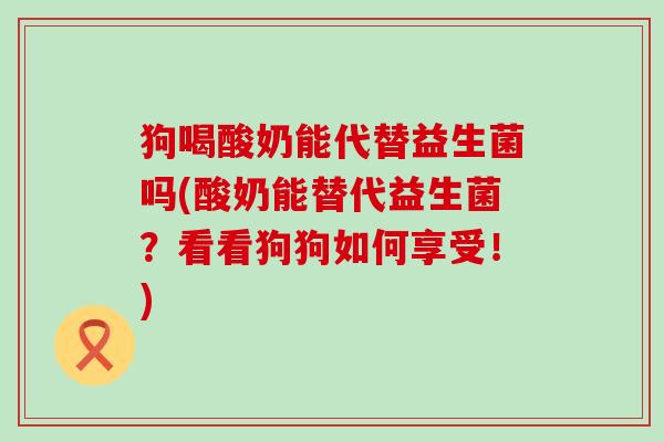 狗喝酸奶能代替益生菌吗(酸奶能替代益生菌？看看狗狗如何享受！)