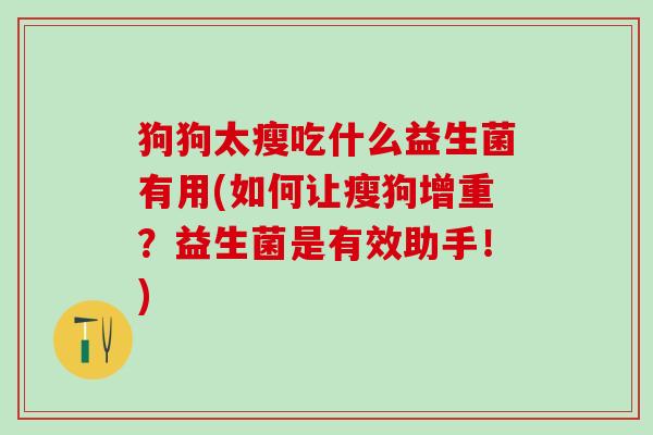 狗狗太瘦吃什么益生菌有用(如何让瘦狗增重？益生菌是有效助手！)