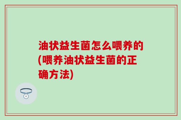 油状益生菌怎么喂养的(喂养油状益生菌的正确方法)