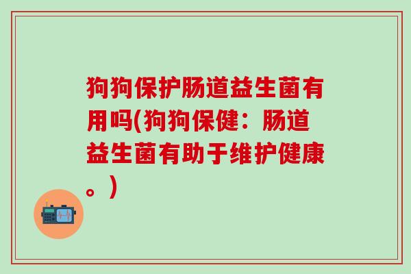 狗狗保护肠道益生菌有用吗(狗狗保健：肠道益生菌有助于维护健康。)