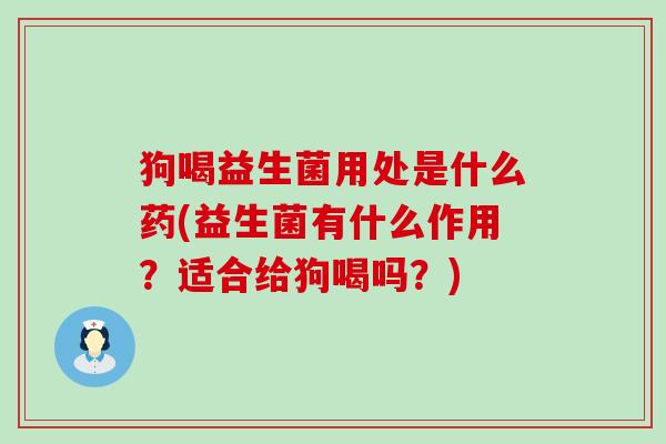 狗喝益生菌用处是什么药(益生菌有什么作用？适合给狗喝吗？)