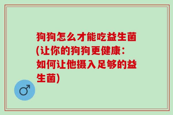 狗狗怎么才能吃益生菌(让你的狗狗更健康：如何让他摄入足够的益生菌)