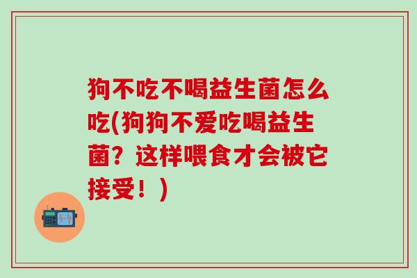 狗不吃不喝益生菌怎么吃(狗狗不爱吃喝益生菌?这样喂食才会被它接受!) 狗不吃不喝益生菌怎么吃(狗狗不爱吃喝益生菌?这样喂食才会被它接受!)