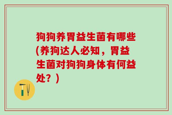 狗狗养胃益生菌有哪些(养狗达人必知，胃益生菌对狗狗身体有何益处？)