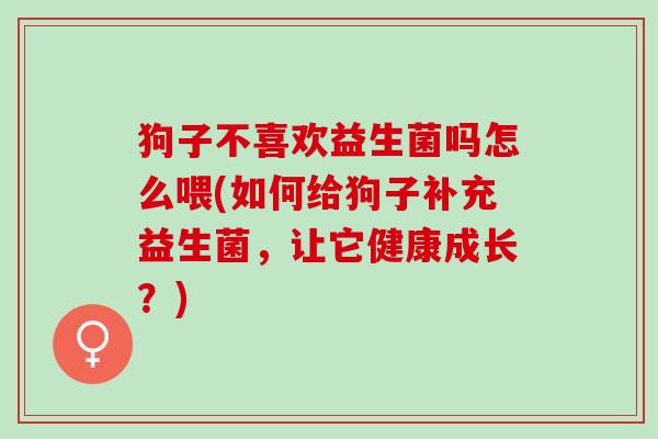 狗子不喜欢益生菌吗怎么喂(如何给狗子补充益生菌，让它健康成长？)