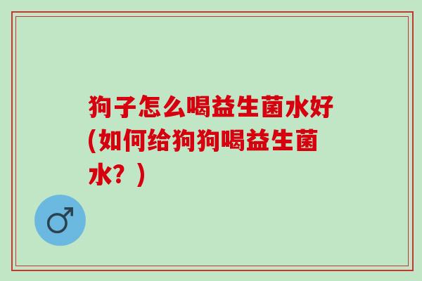 狗子怎么喝益生菌水好(如何给狗狗喝益生菌水？)