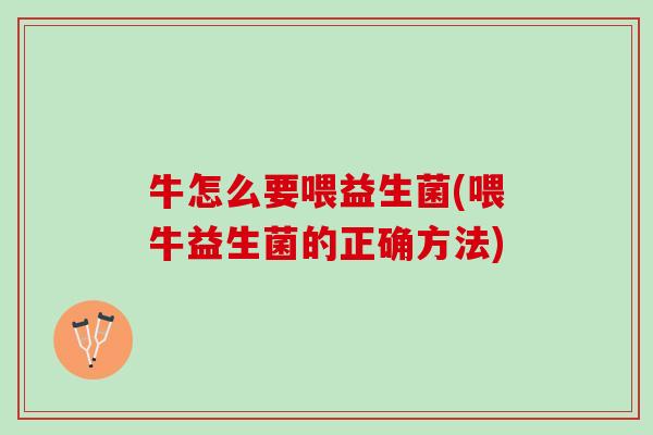 牛怎么要喂益生菌(喂牛益生菌的正确方法)