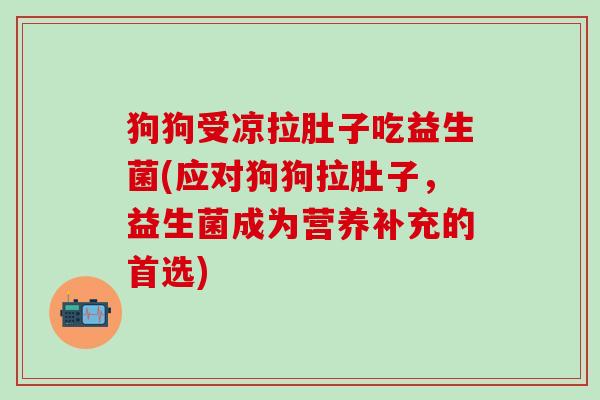 狗狗受凉拉肚子吃益生菌(应对狗狗拉肚子，益生菌成为营养补充的首选)