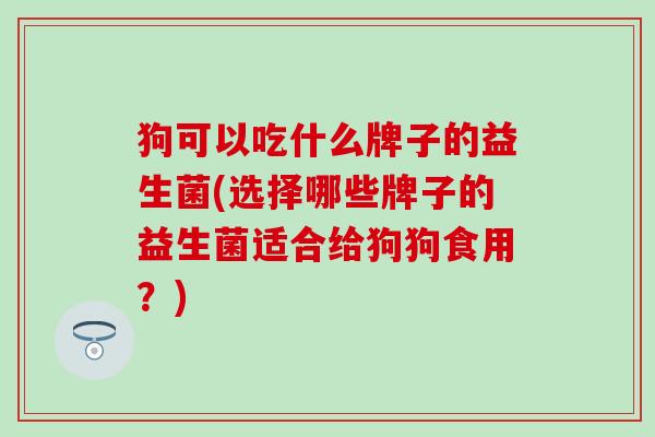 狗可以吃什么牌子的益生菌(选择哪些牌子的益生菌适合给狗狗食用？)