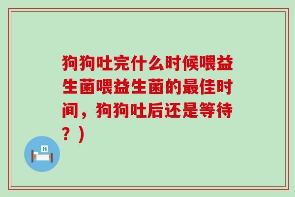 狗狗吐完什么时候喂益生菌喂益生菌的最佳时间，狗狗吐后还是等待？)