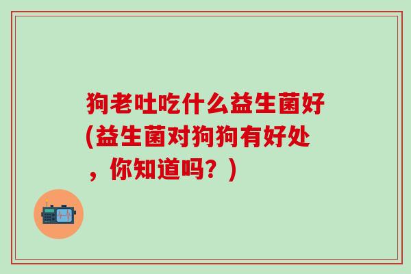 狗老吐吃什么益生菌好(益生菌对狗狗有好处，你知道吗？)