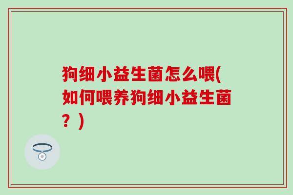 狗细小益生菌怎么喂(如何喂养狗细小益生菌？)