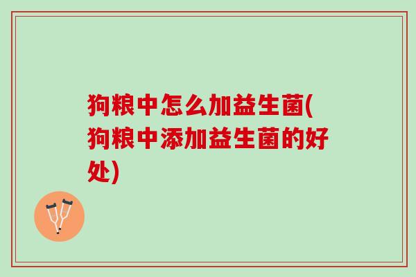 狗粮中怎么加益生菌(狗粮中添加益生菌的好处)