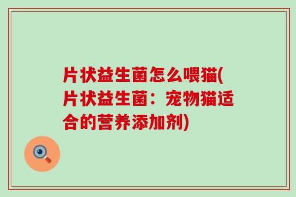 片状益生菌怎么喂猫(片状益生菌：宠物猫适合的营养添加剂)
