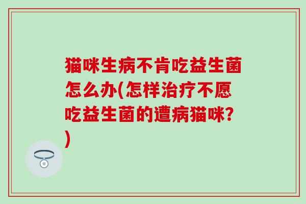 猫咪生病不肯吃益生菌怎么办(怎样治疗不愿吃益生菌的遭病猫咪？)