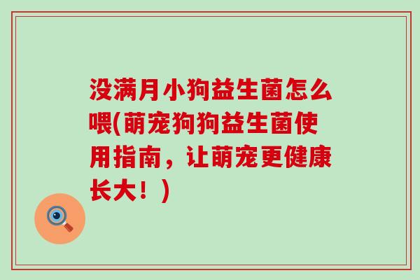 没满月小狗益生菌怎么喂(萌宠狗狗益生菌使用指南，让萌宠更健康长大！)