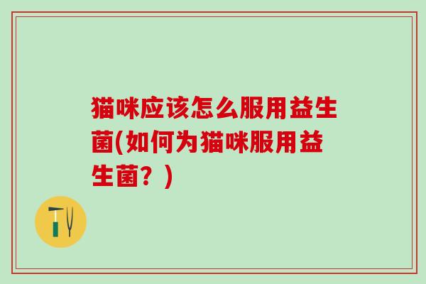 猫咪应该怎么服用益生菌(如何为猫咪服用益生菌？)